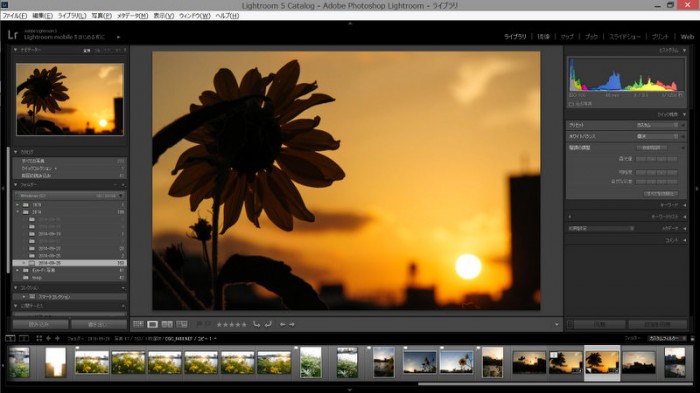 Lightroom 5 でノートパソコンでも画面を広く使う設定と便利なショートカットキーのすすめ かめらとブログ