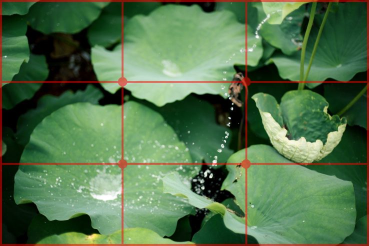 2530_basic_composition_01_1_