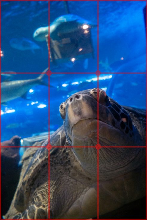 2530_basic_composition_01_5_1