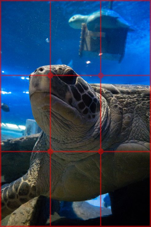 2530_basic_composition_01_5_2
