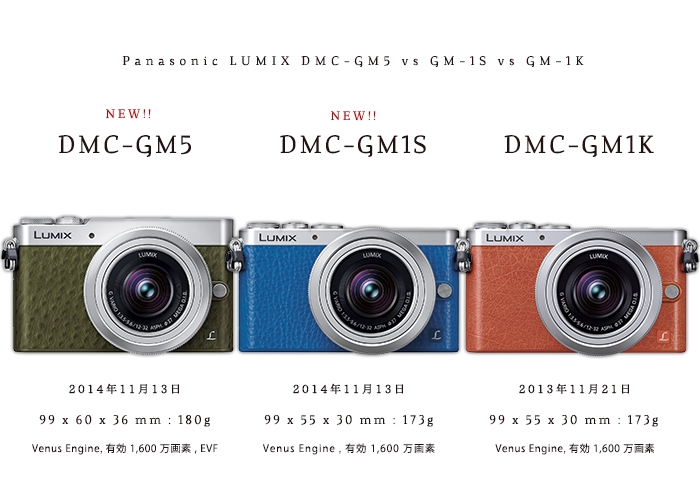 LUMIX GM /DMC-GM1S - デジタルカメラ