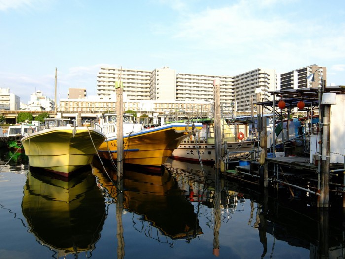 Velviaの発色が最高！ブログ、SNSにおすすめのカメラ。『FUJIFILM XF1