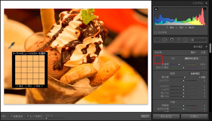 lightroom_5_tips_wb_02