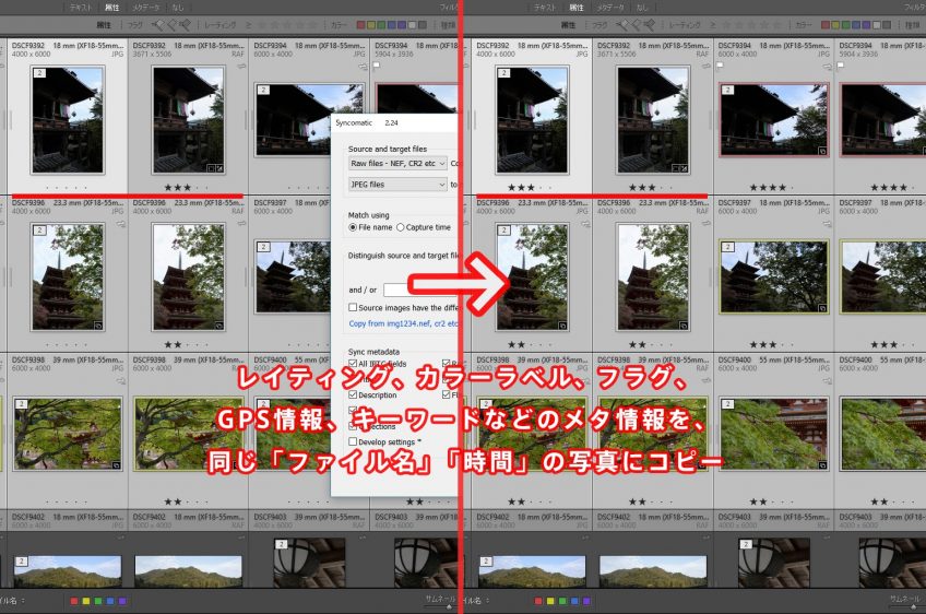 Lightroomでjpeg Raw間のメタデータ レイティングを一括コピーするプラグイン Syncomatic Lightroomの現像手帖 かめらとブログ