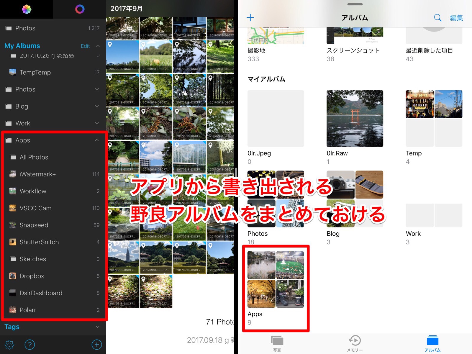 アルバム整理に写真の比較もできる 写真管理アプリ Hashphotos をiphone Ipadな全ての写真好きにおすすめしてみる Ios かめらとブログ