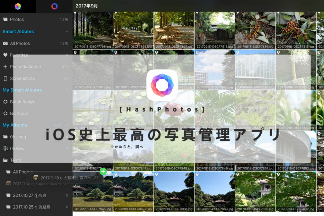 アルバム整理に写真の比較もできる 写真管理アプリ Hashphotos をiphone Ipadな全ての写真好きにおすすめしてみる Ios かめらとブログ