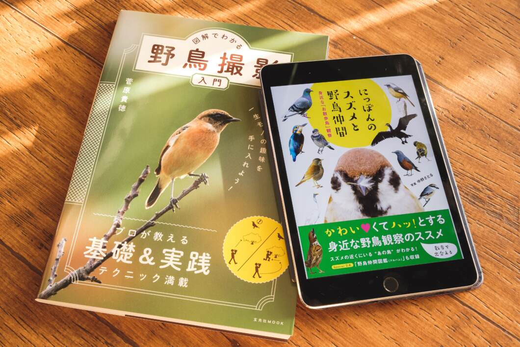 野鳥撮影を始めるにあたって頭をでっかくするために購入した書籍