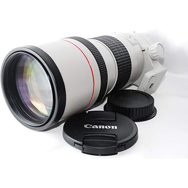 Canon EF300mm F4L USM 製品画像