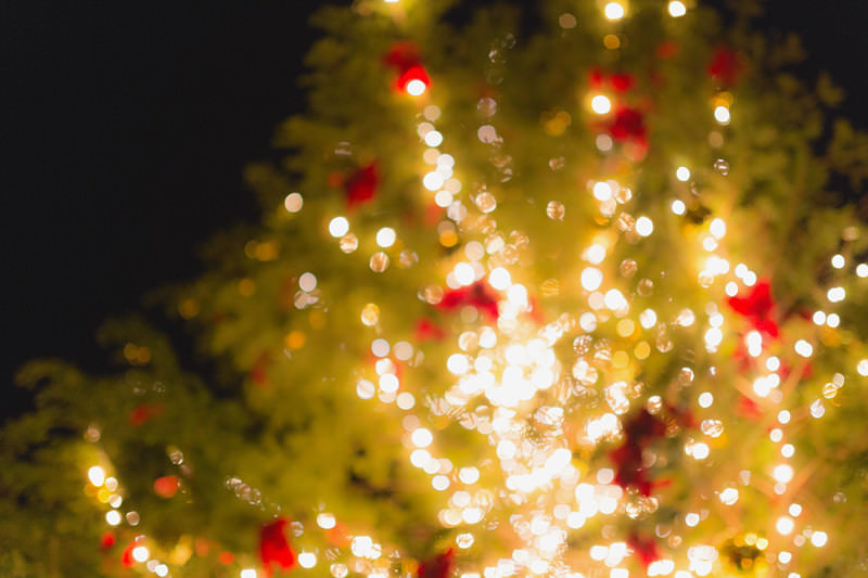 赤と金色のライトが点灯をはじめたクリスマスツリー