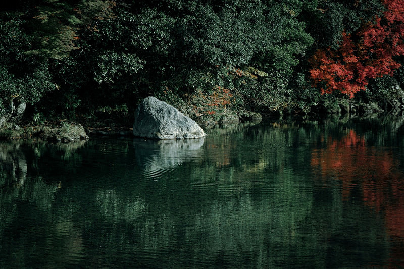 水面に映る色付き始めた木々と波紋が広がる秋の川風景