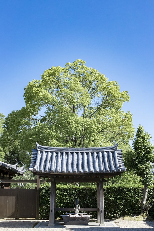 '青空の下に立つ瓦屋根の手水舎'