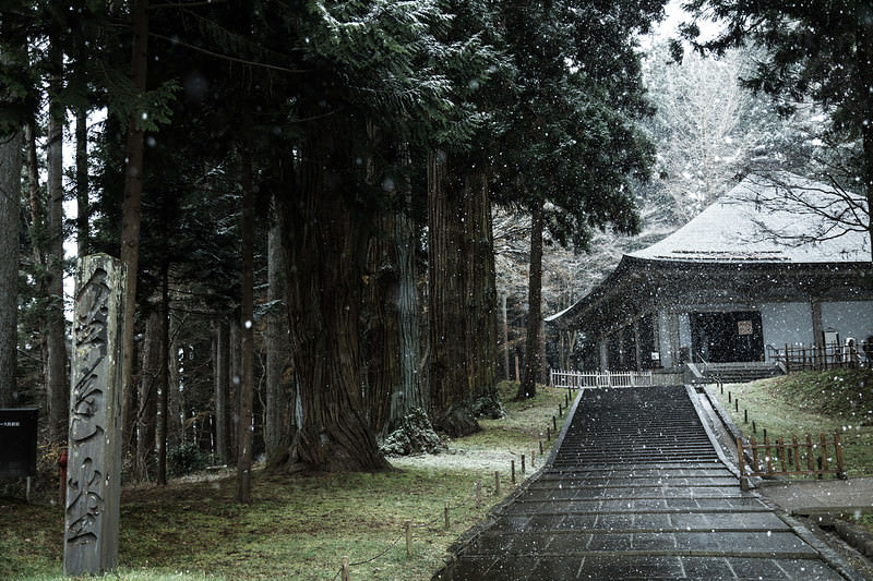 '雪に包まれる中尊寺金色堂前の石段参道と杉林'