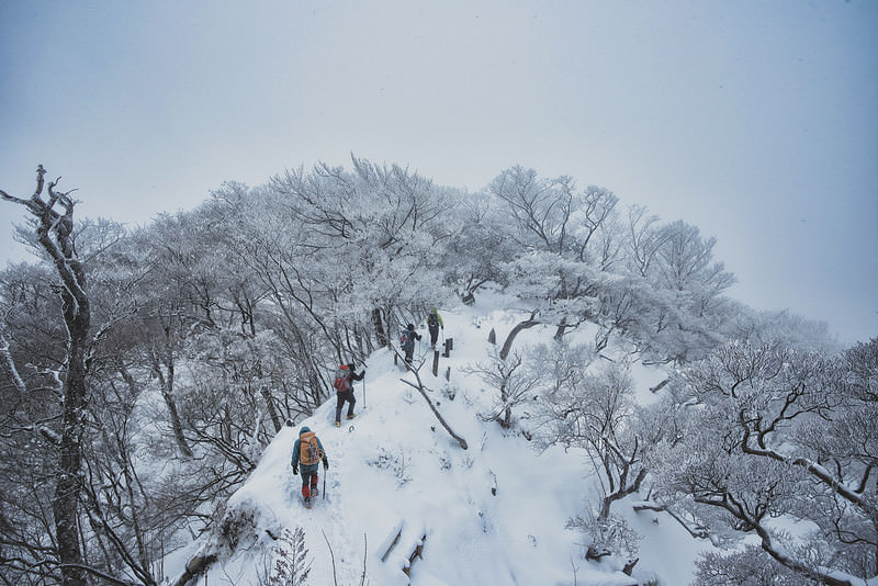 '厳冬の丹沢主稜線を進む登山者の雪景色'