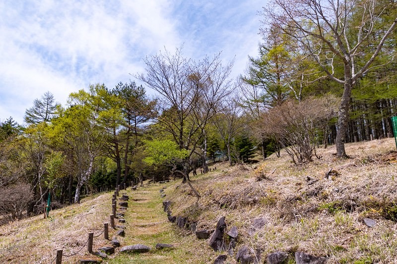 '木製の階段が続く上り坂の散策コース'