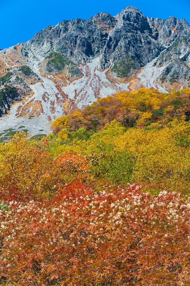 9月の紅葉シーズンピークの涸沢カール登山道