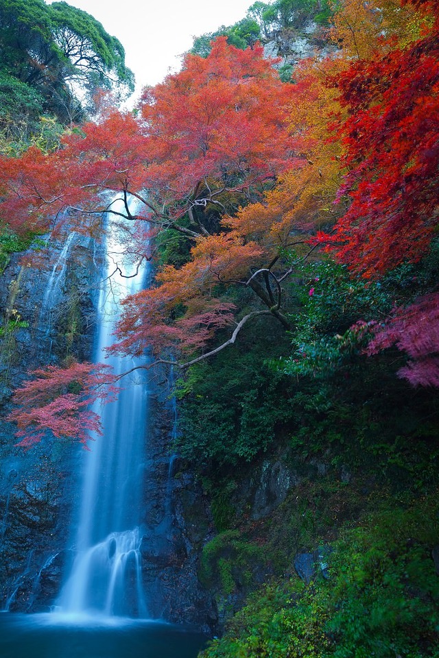'渓流の滝と秋の紅葉・黄葉が彩る渓谷の風景'