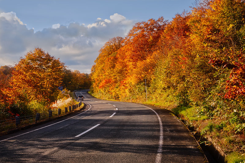 栗駒山の紅葉で染まる道路