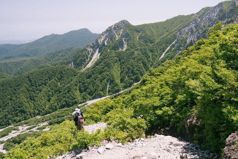 '夏山登山道から見下ろす伯耆大山の別山と谷間の林道'