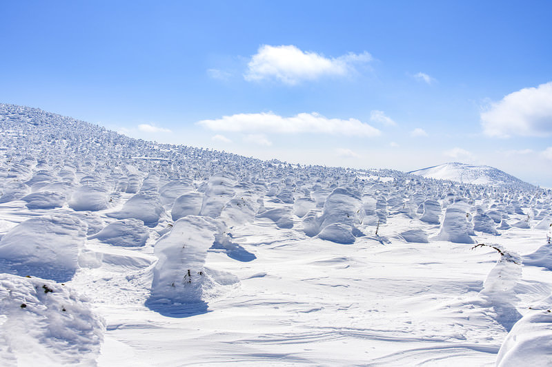 '西吾妻山から望む西大嶺の樹氷と霧氷に覆われた冬の雪景色'