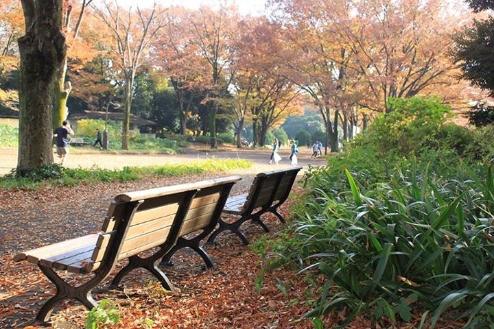 駒沢公園の秋景色