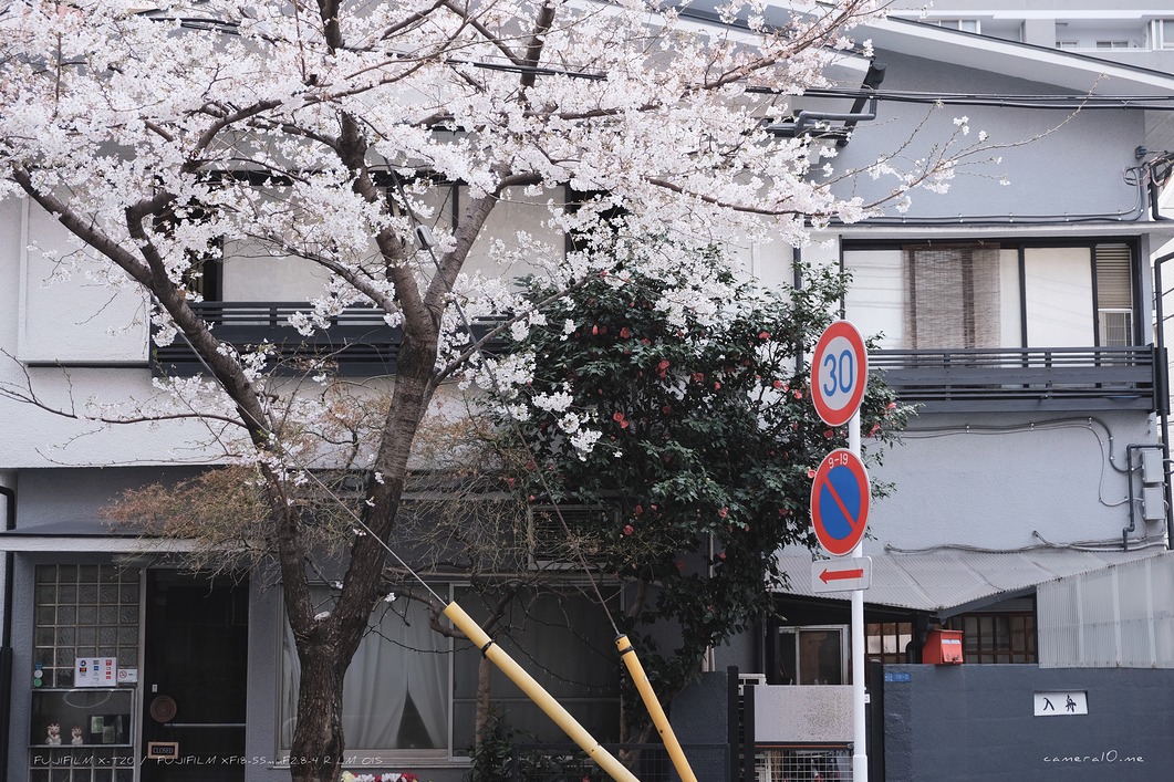 街角と桜 #1