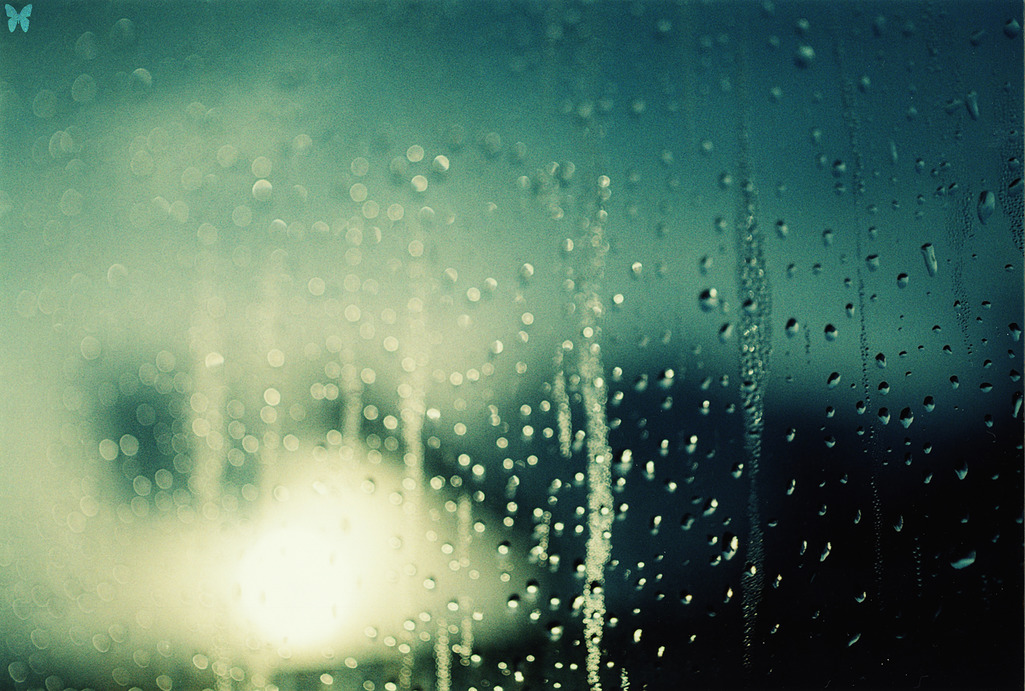 朝、窓の水滴。