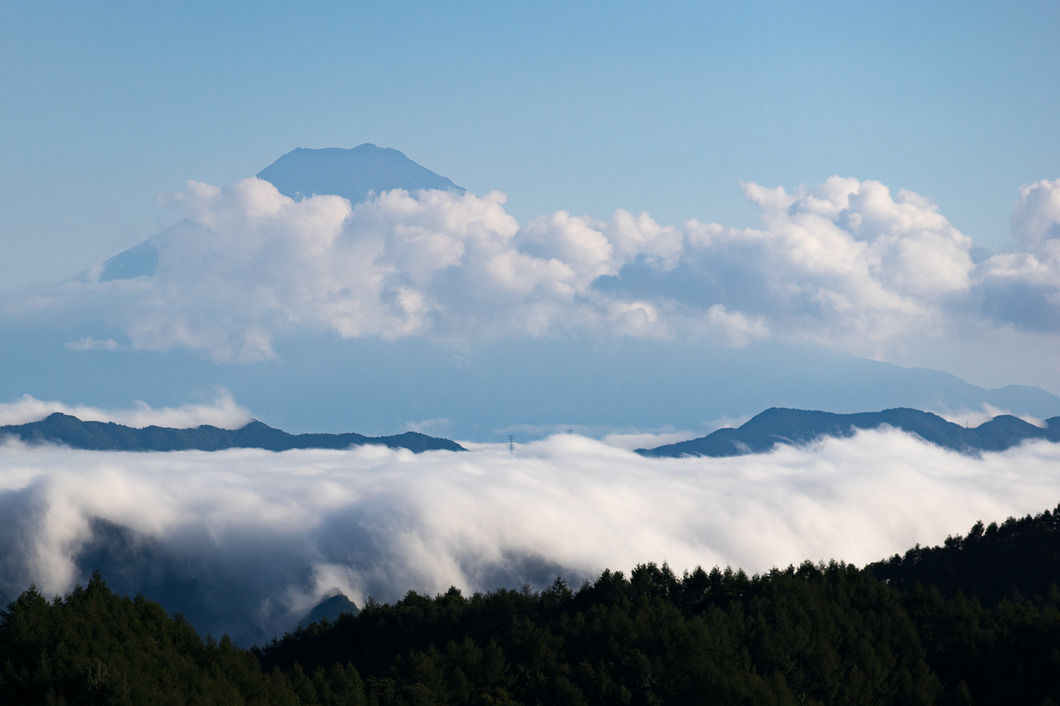 夏の富士　雲の絨毯