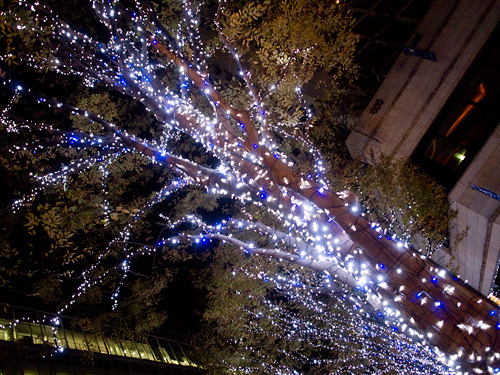 '六本木クリスマスイルミネーション　＠　白井雅樹'