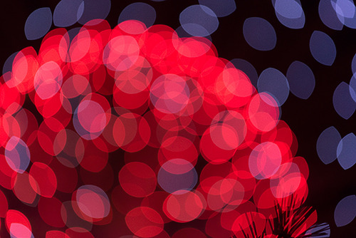 花火大会  Fireworks 花田雄司