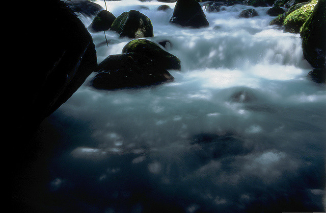 '渓流　＠　竹ノ内誠'