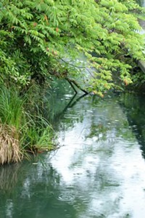 雨の浮島　八田政樹