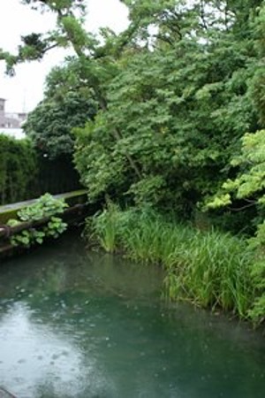 雨水　八田政樹