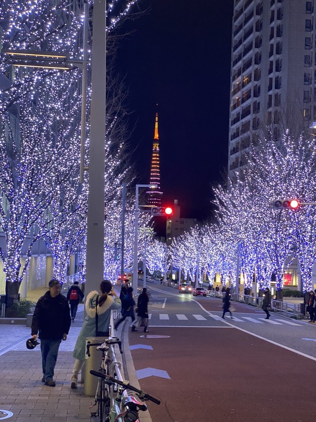 六本木イルミネーションと東京タワー