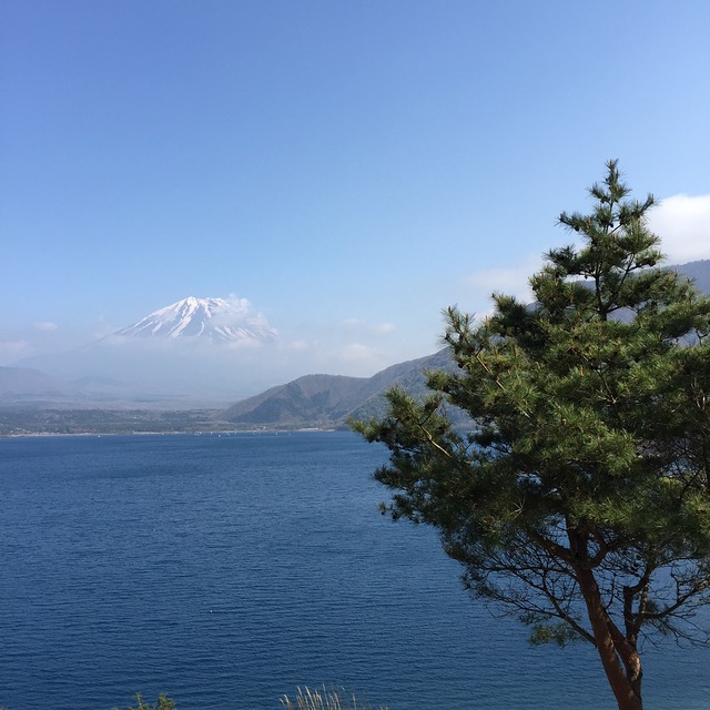 富士山が綺麗に撮れたので