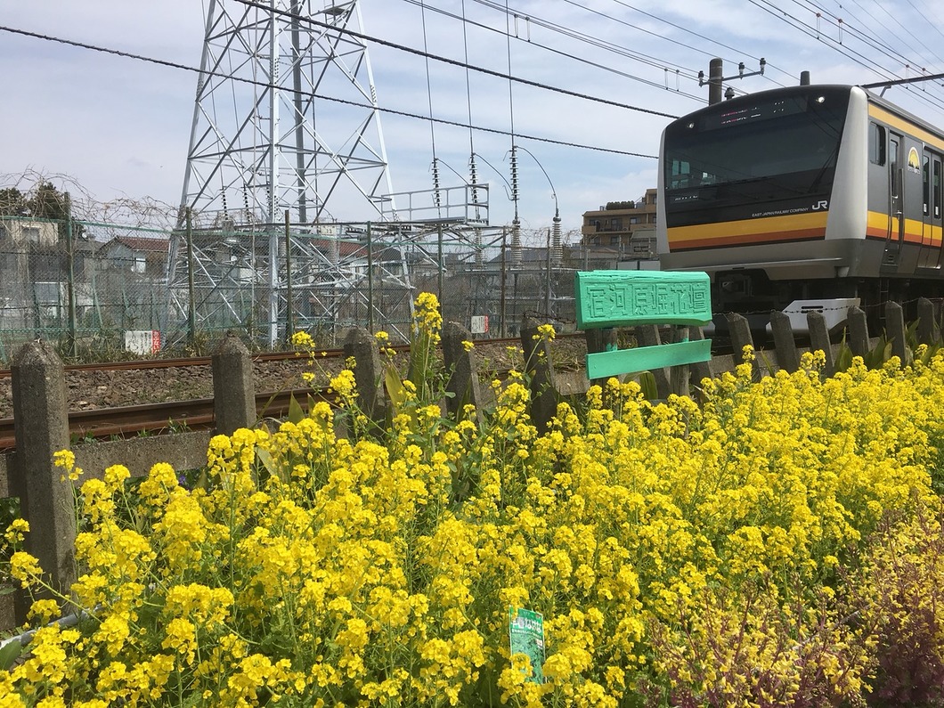 お花と電車