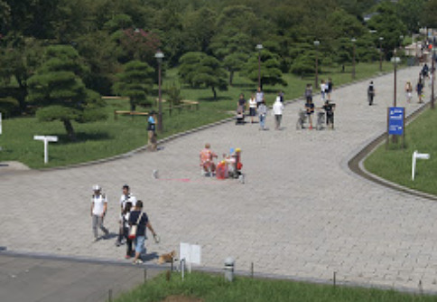 comeup(カムアップ )の米田ブログ|東京都立葛西臨海公園