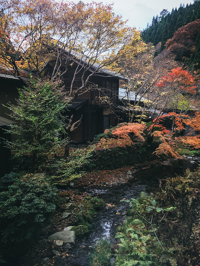 鳥取県智頭町の小川沿いで色付き始めた紅葉と秋の渓流