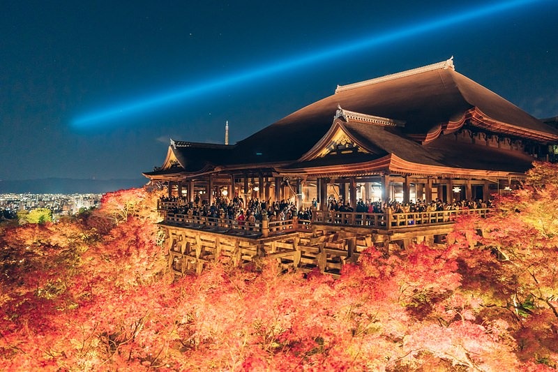 紅葉と清水寺のライトアップ夜景