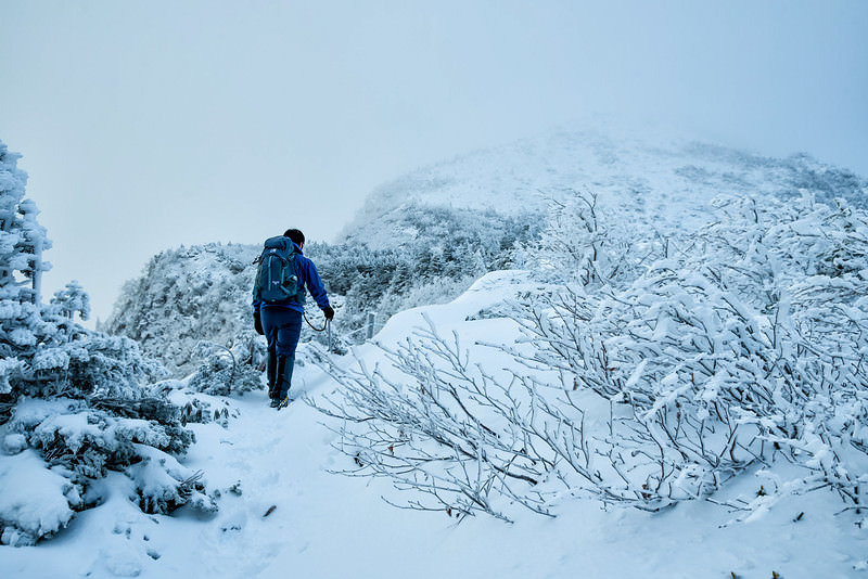 '立ち込めたガスで隠れる山頂を目指す登山者'