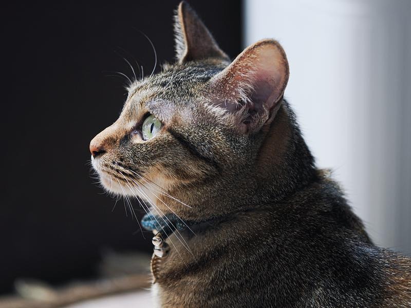'現場のおじさんに呼ばれた気がした'