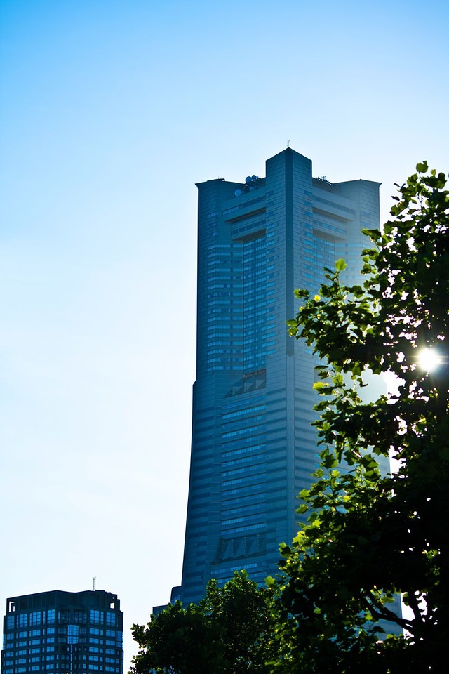 '沿道の木とランドマークタワー'