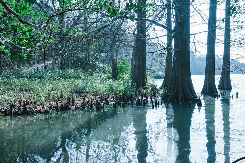 '篠栗九大の森と蒲田池'