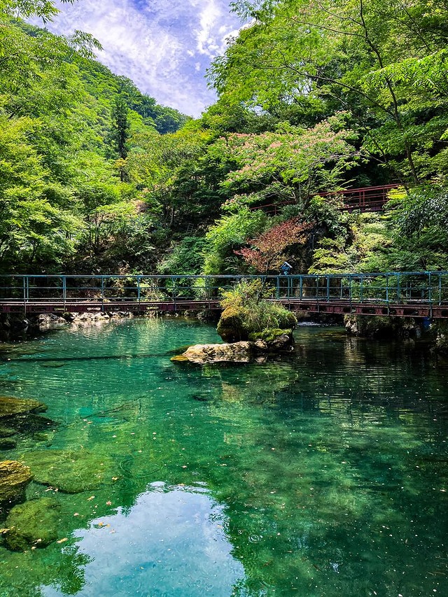 'エメラルドグリーンの水をたたえる白竜湖の一角'