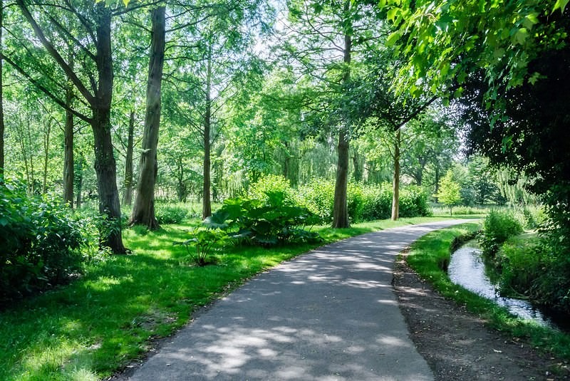 '森林浴でリラックス'