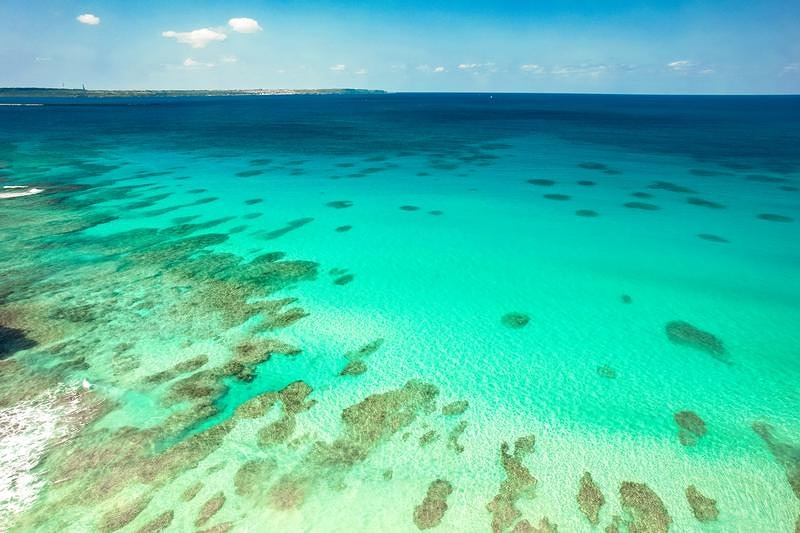 'サンゴ礁の海原'