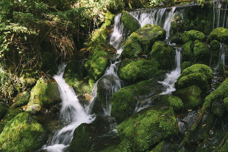 '上高地の林道脇を流れる清流'