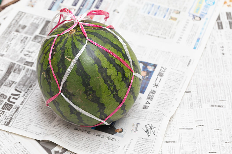 'スイカ買ってきました'