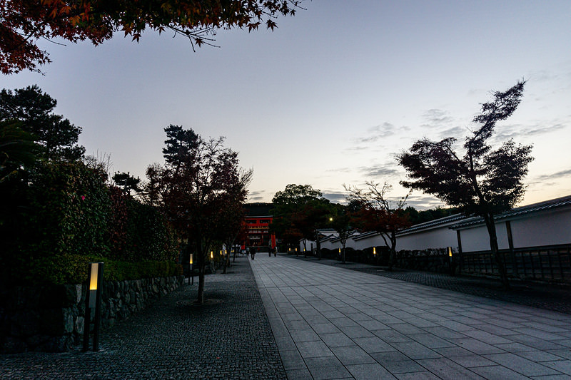 '白み始めた東の空とまだ灯りが残る石畳の参道'