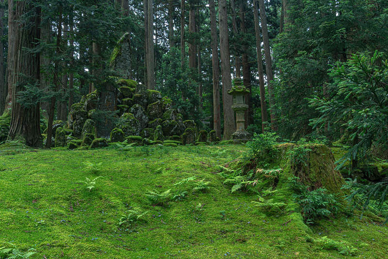 '一面の苔の上に建立された忠魂碑も纏う苔'